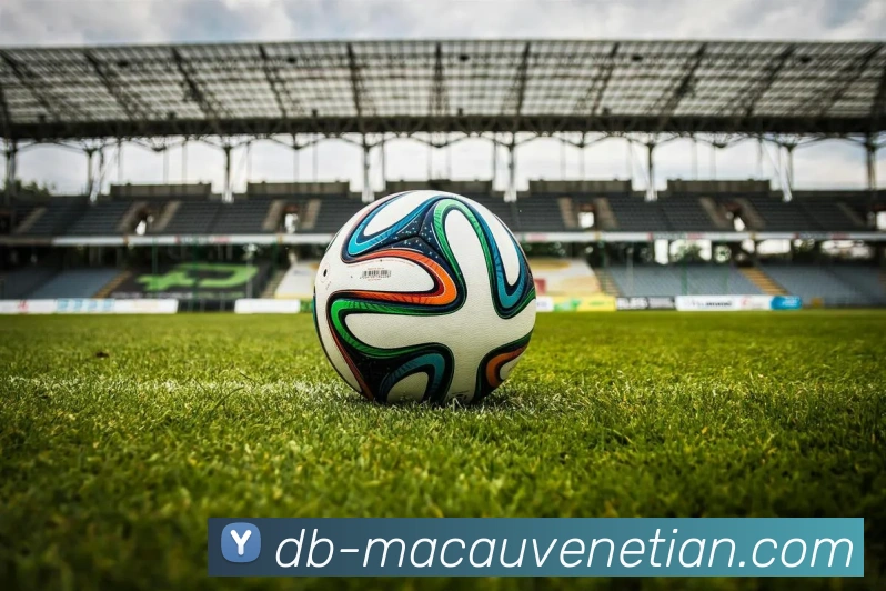 威尼斯人官网平台生态图