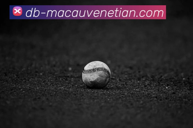 威尼斯人官网全站App 威尼斯人官网全站App