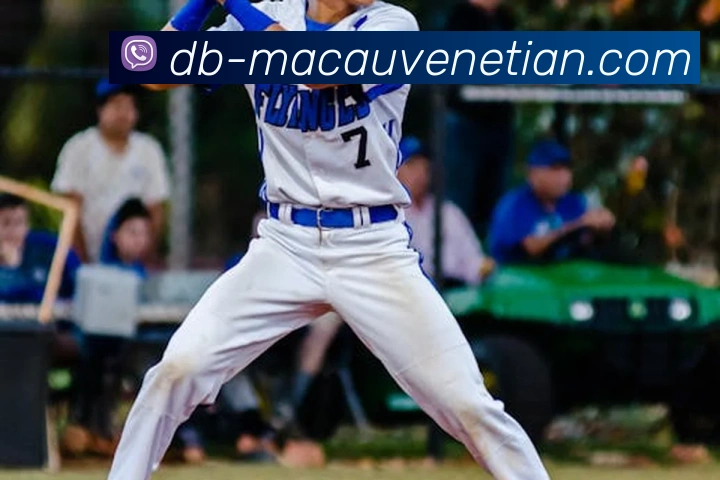 辅助工具 辅助工具